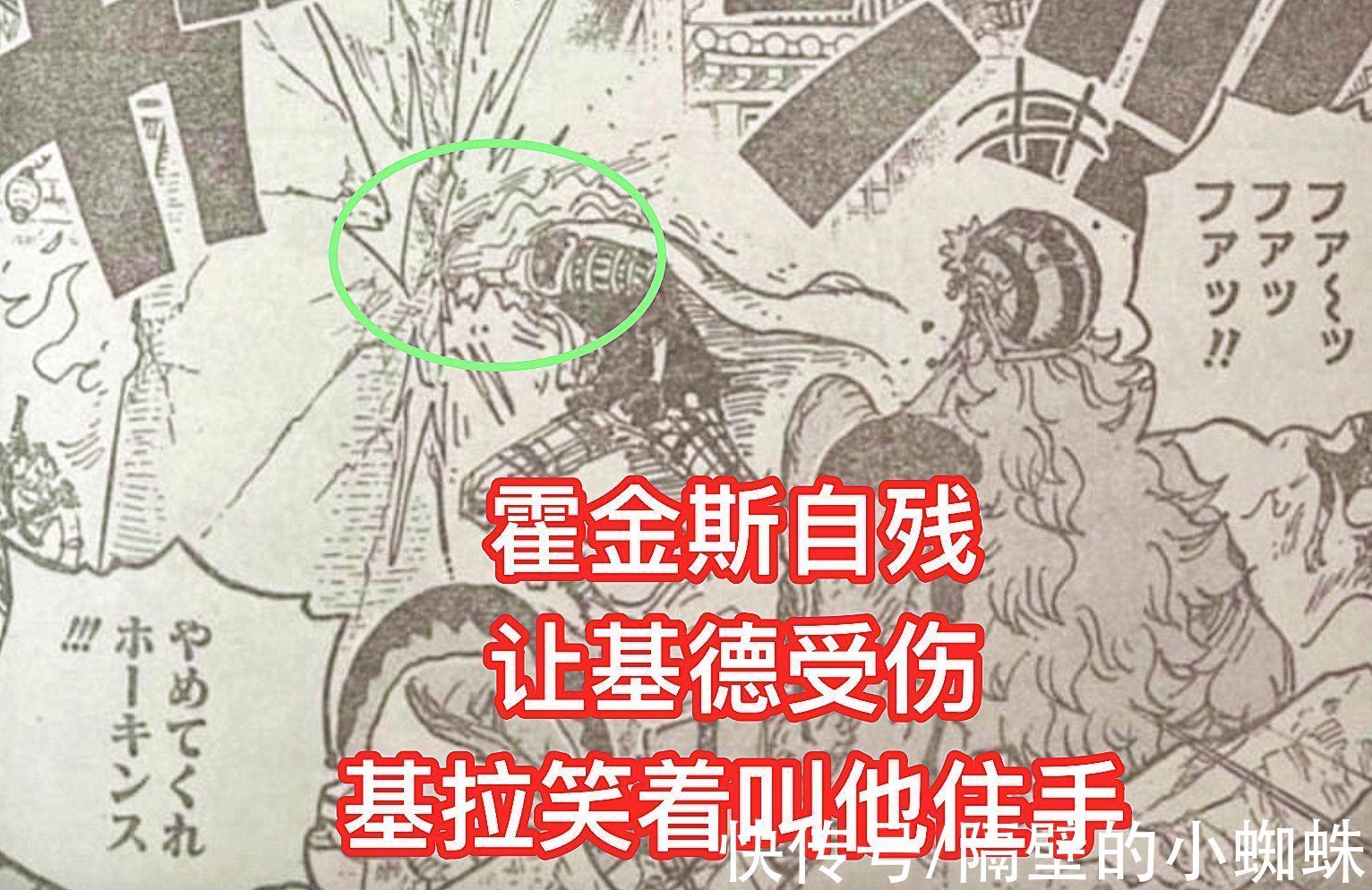 小蜘蛛|海贼王1029话图透,基拉求霍金斯放过基德,他可以用自己的命换