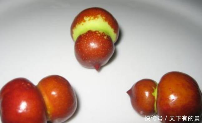 葫芦枣|因为变异演变的一种枣,却因为网络“爆红”,市场卖到80元一斤