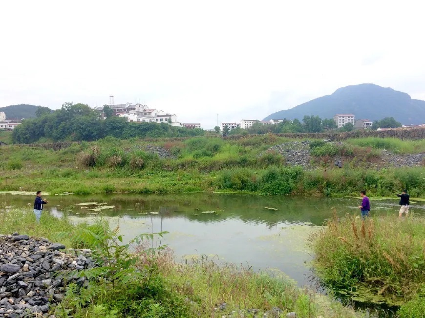 钓鱼:野钓时,注意这几点,肥肥大鱼疯狂聚集!