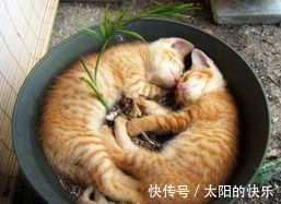 |笑话段子:逗逼老公另类解释拿得起放得下……