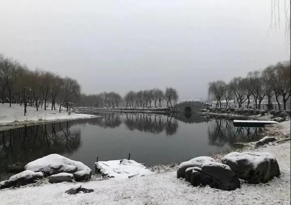 春雪|一场春雪，定格“醉美”长安