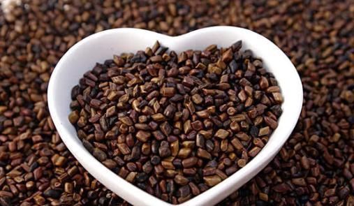 专家|专家提醒：枕头下放一把茶叶，失不失眠都需要，现在知道不算晚！