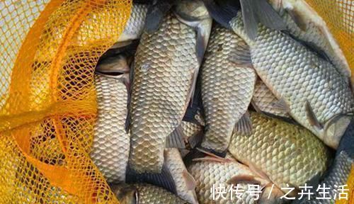 冬季钓鲫鱼，宜小不宜大，为啥钓场也要选小？