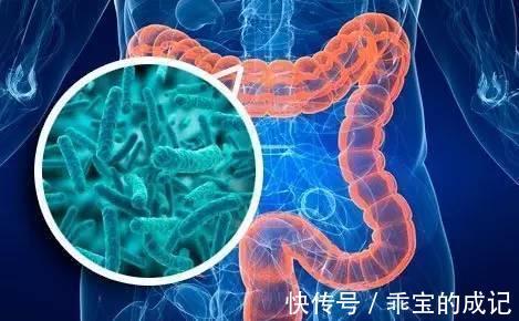 维生素b12|长期吃二甲双胍，会给身体带来什么影响？别不放心上