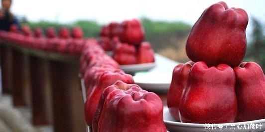 特产|若不差钱,不如尝尝甘肃这5种特产美食,第5种很少人吃过