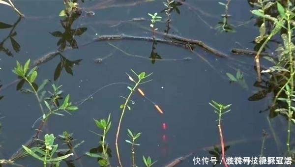 铅坠|七星漂钓组的搭配和调漂技巧,野钓鲫鱼最靠谱钓法,钓鱼人必学