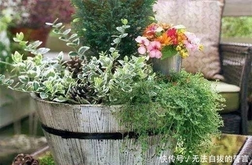 丝瓜络|花盆里加点这个,10年不用换盆,花儿越开越旺!