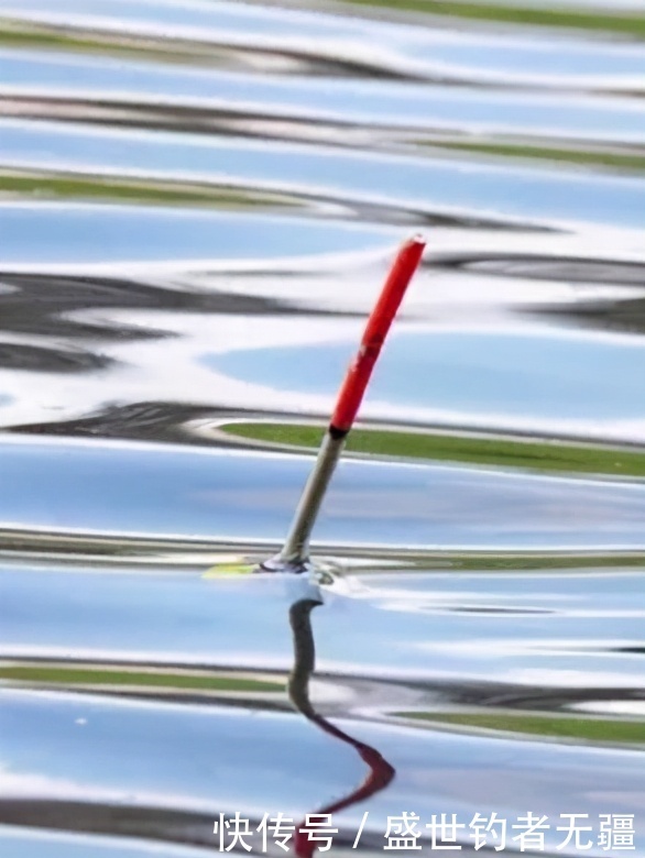 底钓调漂不正确，你到底忽略了那些步骤？——盛世三渔