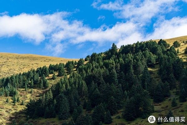 佛国|旅游之路 篇五：重走唐蕃古道，千里佛国 （一）世界之最，用信仰垒筑的墙~巴格玛尼石经墙