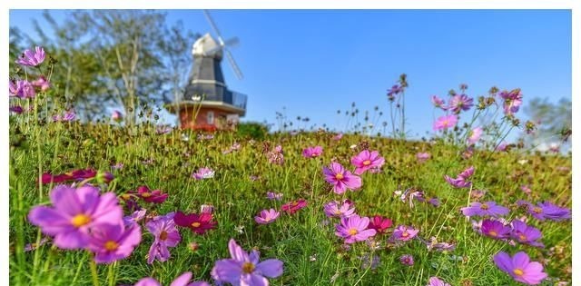 周柯宇|創(chuàng)造營2021刷屏了！恒大海花島成粉絲花式示愛天堂