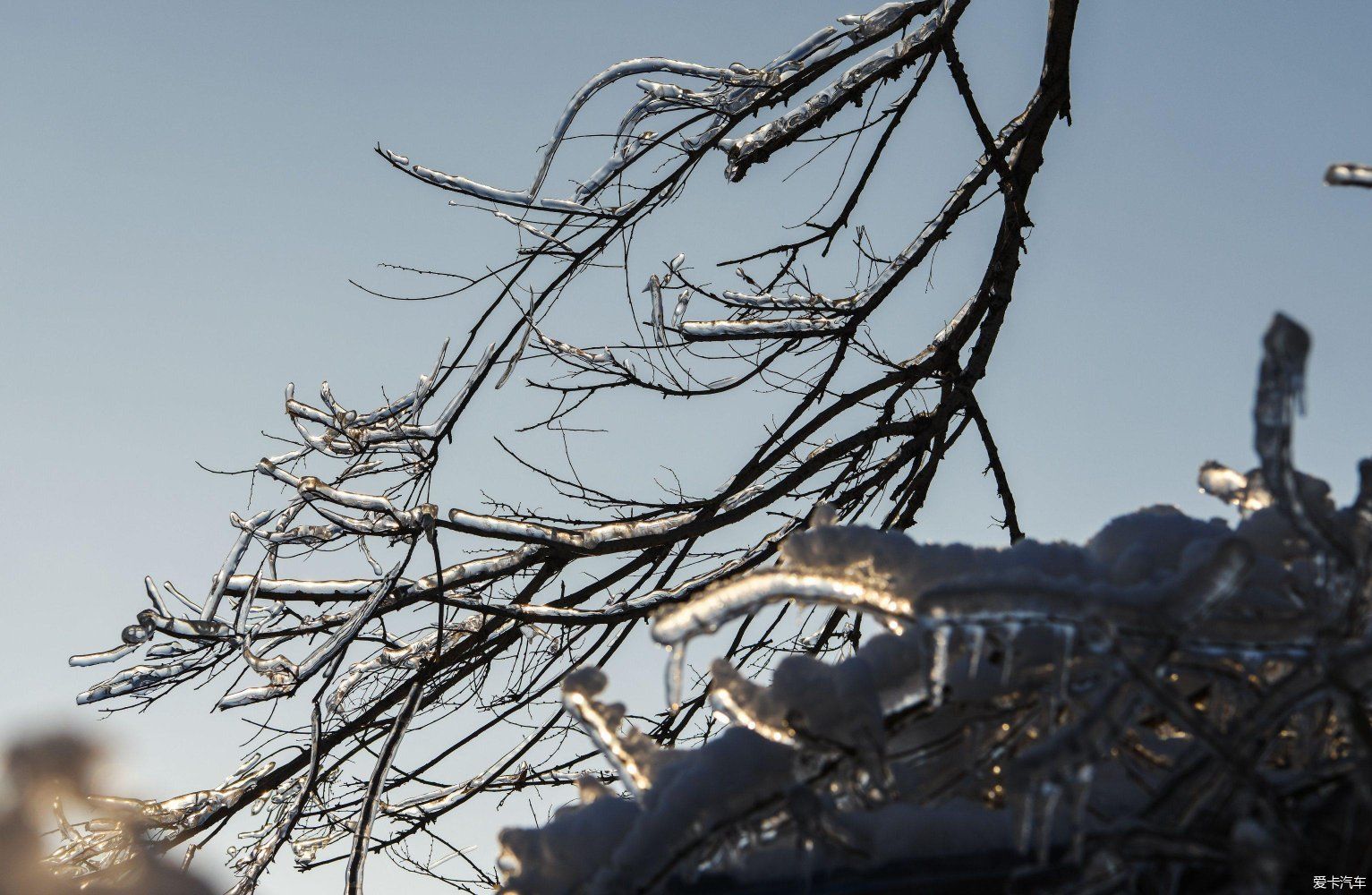 美丽的北国风光，千里冰封，万里雪飘