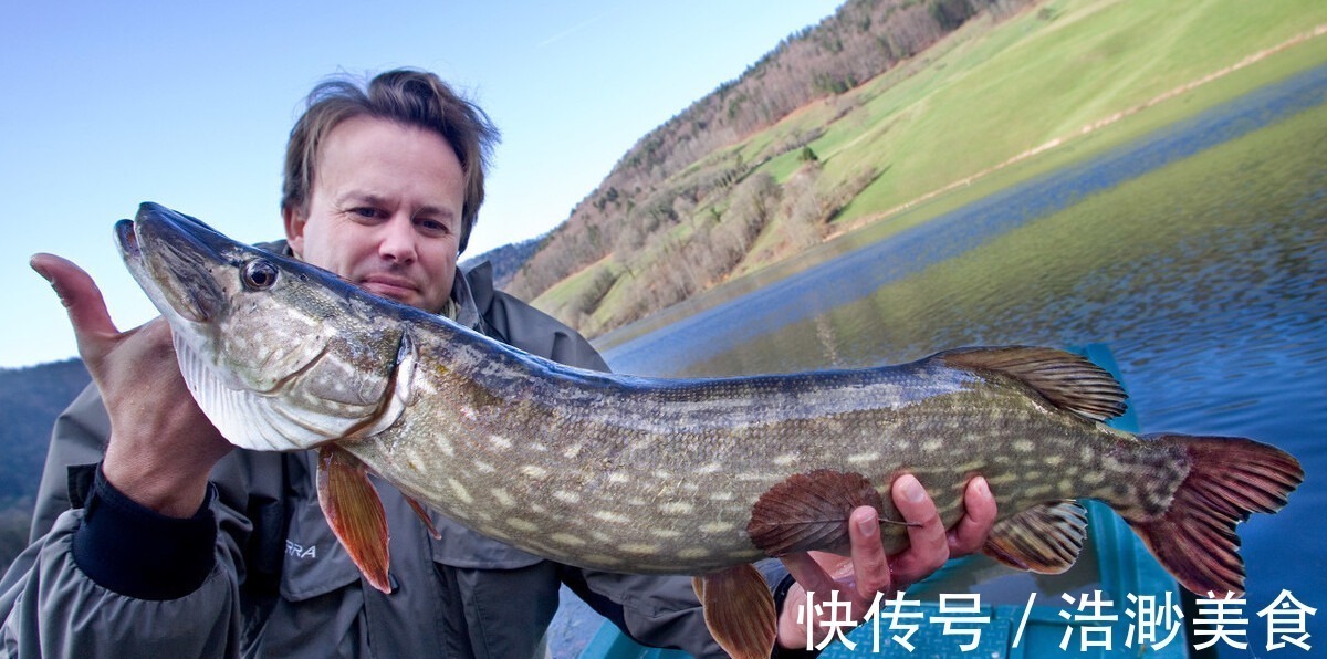 小技巧|吃鱼时，用筷子夹3个部位的人，是行家，教你学会小技巧