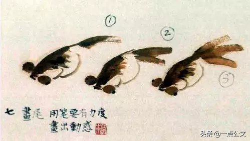 曙红|写意金鱼的画法解析