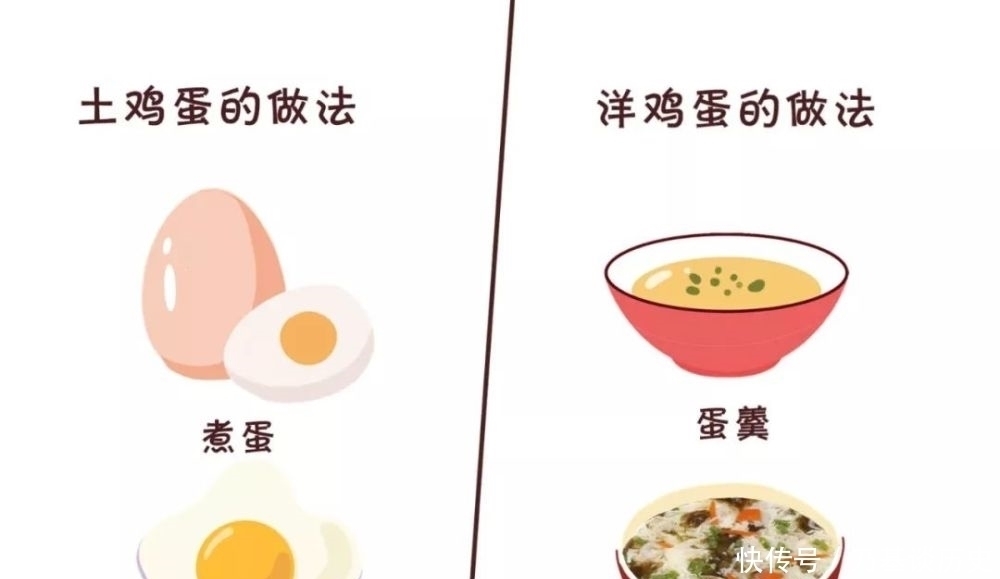 土鸡蛋贵,洋鸡蛋不营养?鸡蛋怎么吃最有营养
