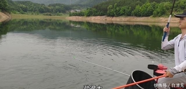 钓翘嘴知道这些,会让你收获满满,钓的非常过瘾