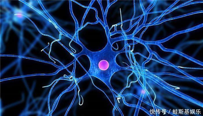 大脑|若能养成这5个好习惯,老来不痴呆,儿女也安心