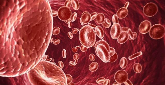 家庭|如何能使家庭自测的血压既准确又有用?4个问题,学到就是赚到!