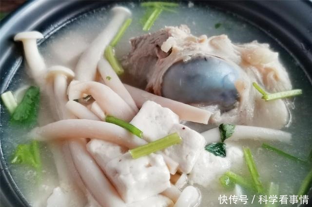做菌菇豆腐汤,和这个食材一起煮,鲜香味美,香味扑鼻