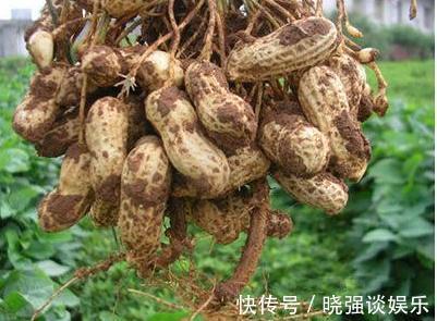 柚子|血管老化难疏通早晚吃“3种”,溶解血栓“一把手”!