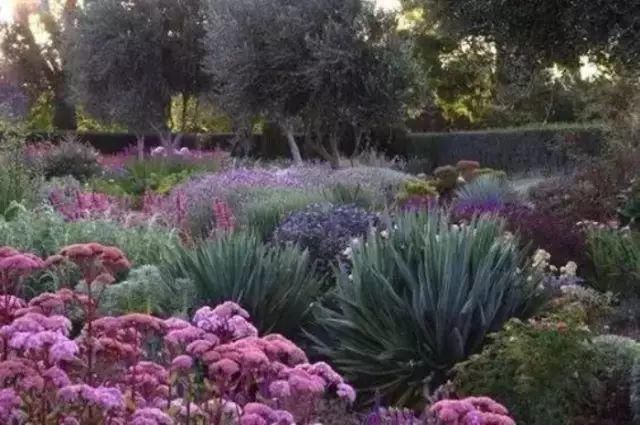 这才是花园应有的样子！