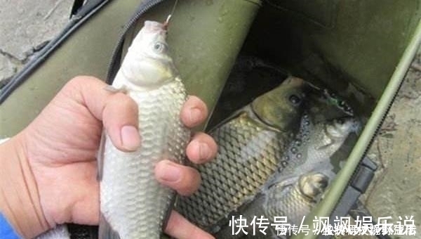 七星漂钓组的搭配和调漂技巧,野钓鲫鱼最靠谱钓法,钓鱼人必学