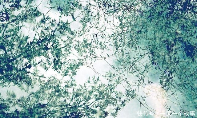 酬张少府|20首传诵千古的诗词,全是顶级名篇,每一首都值得背下来