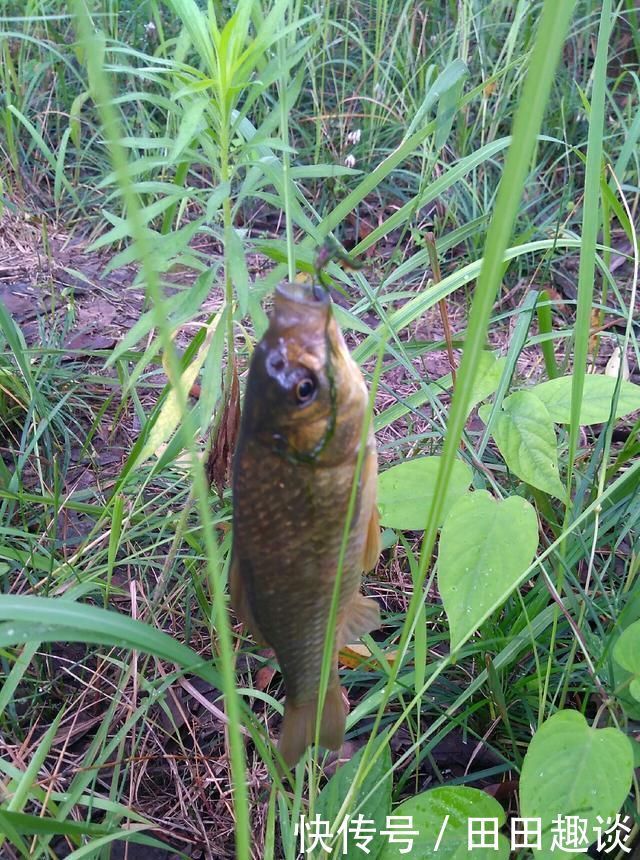 野钓小技巧浮漂做一个小改动,惊鱼几率大降