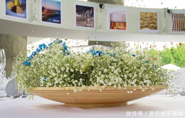 阳台养盆“娇气花”，一盆开花1000朵，枝体最娇弱，开花却最多