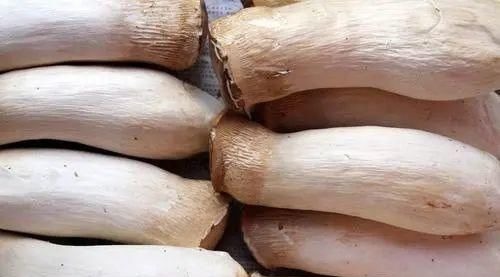 买杏鲍菇时,挑大的还是小的?蔬菜商贩说漏嘴,以后可别再瞎买!