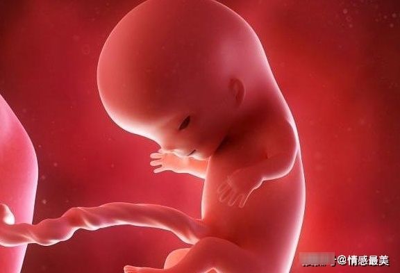 睡姿|怀胎十月,孕妈都要左侧睡?从这个月份开始就可以,孕妈别忽视