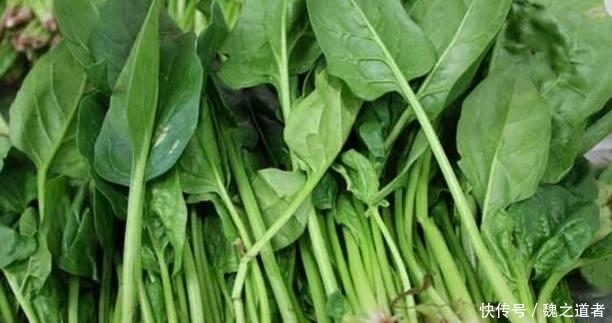 肝脏不好的人记得多吃这些蔬菜,帮你排出肝脏毒素,保护好肝脏