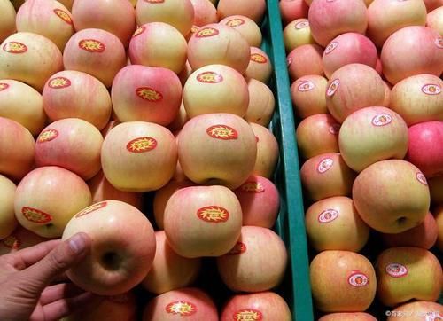 苹果和“它”是绝配，锅里蒸一蒸，好处显而易见，好吃又健康