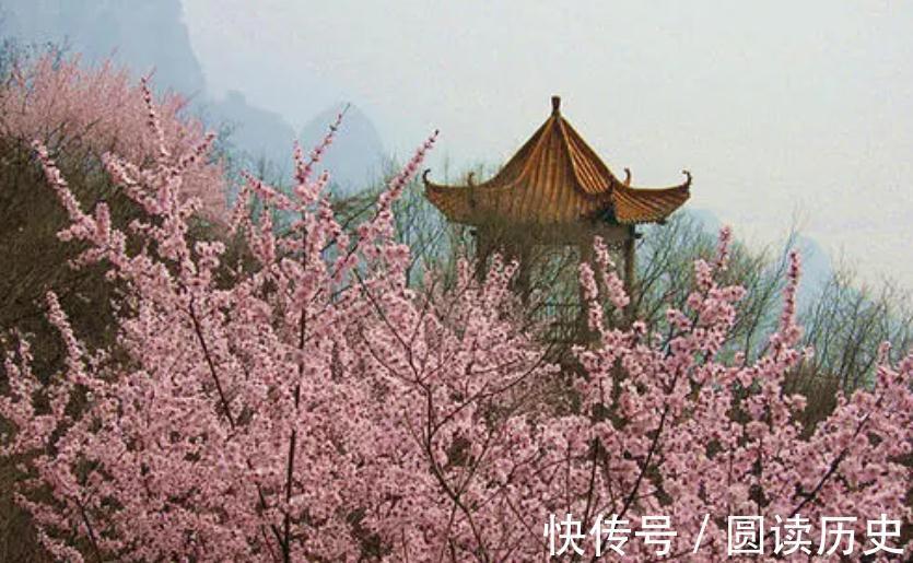 苏美儿$明朝第一花魁,出一数学对联无人对出,唐伯虎:我也甘拜下风