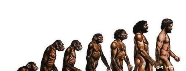 人类一亿年后的命运将会如何科学家给出3种可能