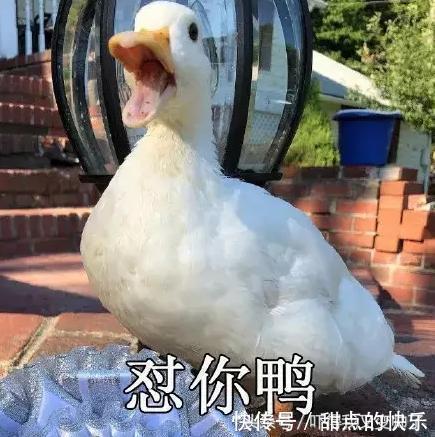 |幽默段子:我和老婆已经结婚十多年了,有一个五岁的闺女