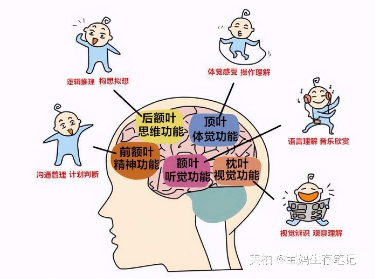 家长|哈佛研究发现：孩子人生中有“黄金7年”，很多家长都错过了