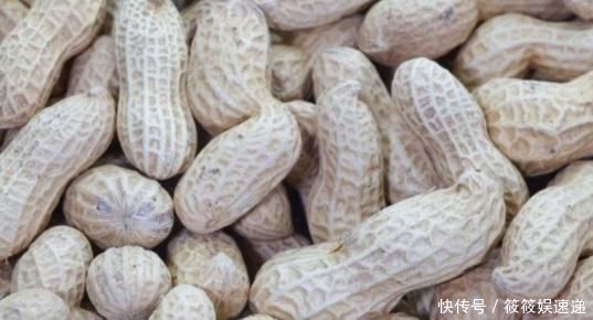 花生|熟花生和生花生哪个营养更佳?专家说出了大实话,多人表示吃错了