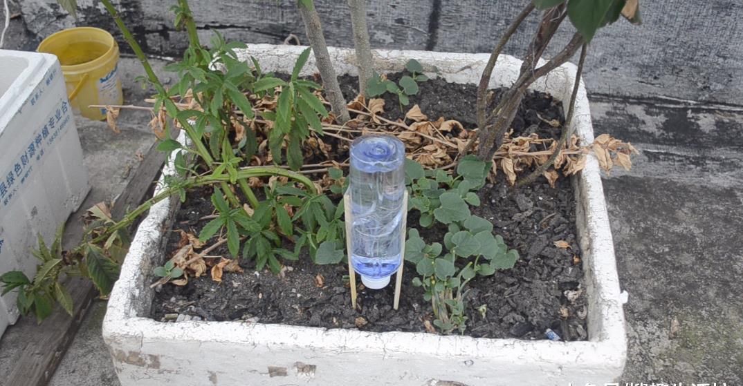 家庭|塑料瓶上绑2根筷子, 这个作用太棒了, 解决了很多家庭的烦恼