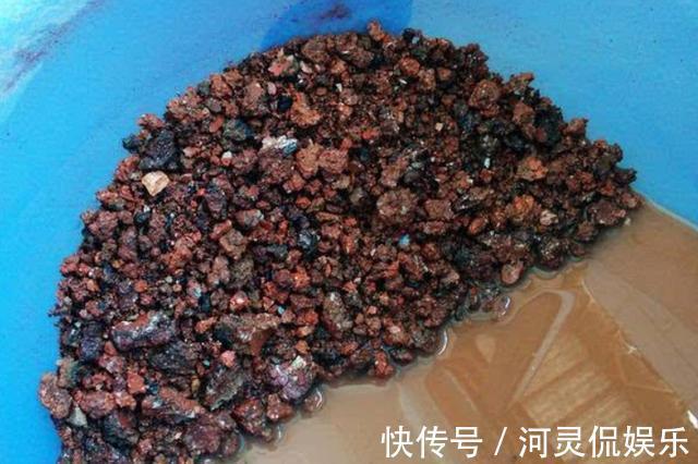 陶粒|这3种“黑石头”,往盆里丢一点,养啥花都旺