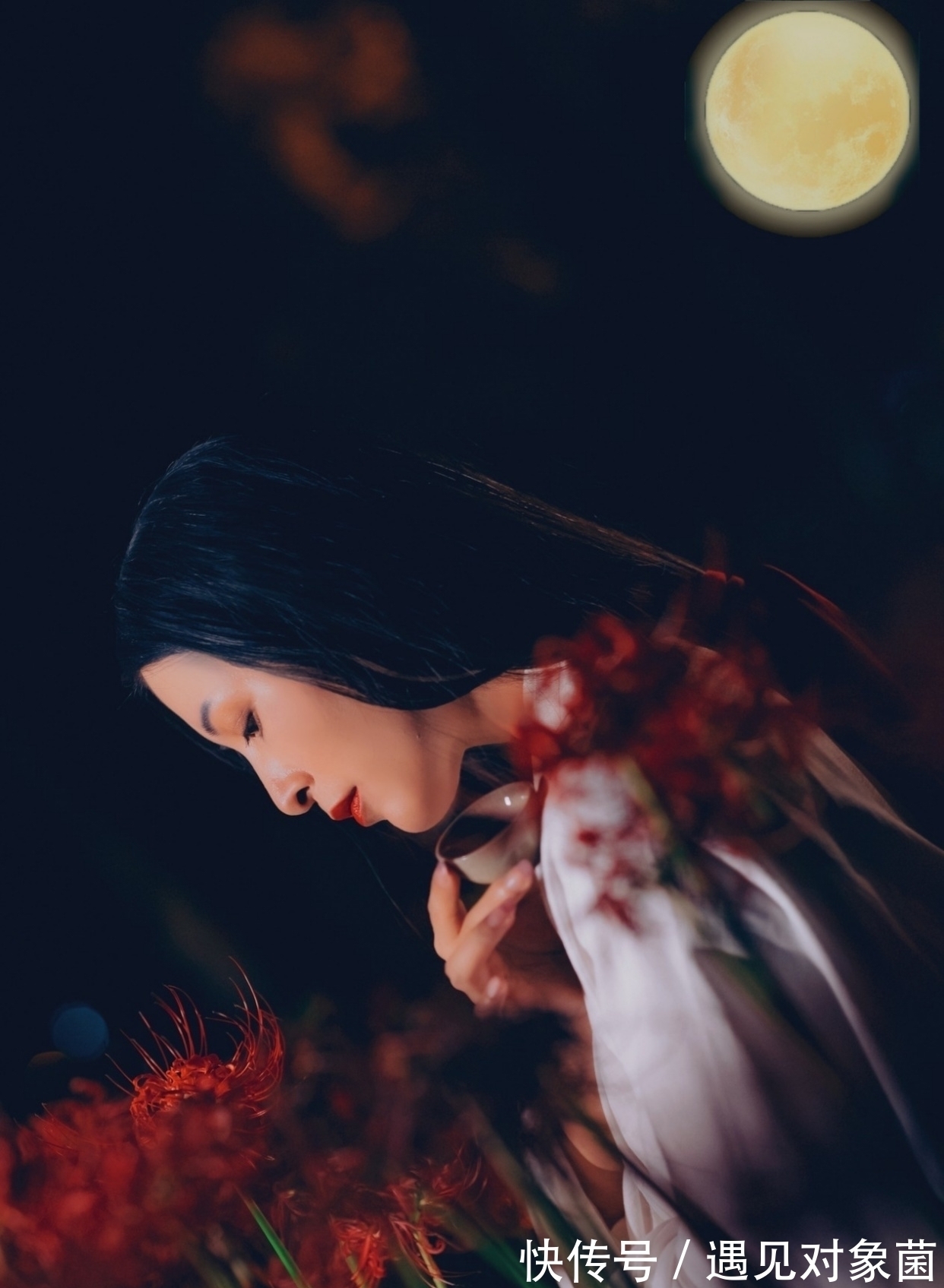 鸣蛙@诗·八首丨朝游野岭寻佳句,晚向渔樵举酒壶