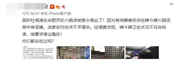 自助餐厅|杜海涛吴昕火锅店被投诉汤菜内有苍蝇，卫生情况堪忧，遭责令停业