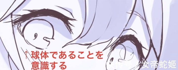 判断|高光阴影怎么画?教你如何判断光源位置画好阴影!