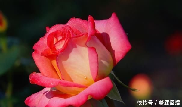 笑面虎|老祖宗说“奸者不离三”,小人身上的3个特点,早明白早防备