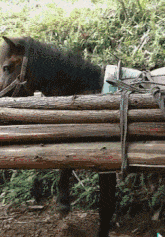 |搞笑GIF:骚年,抢一次镜头就好了,非要被打了才知道错