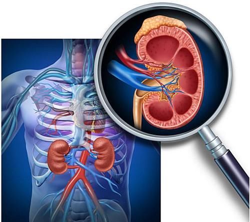 刚刚喝进去的水，需要多久形成尿液？或许让你感到意外