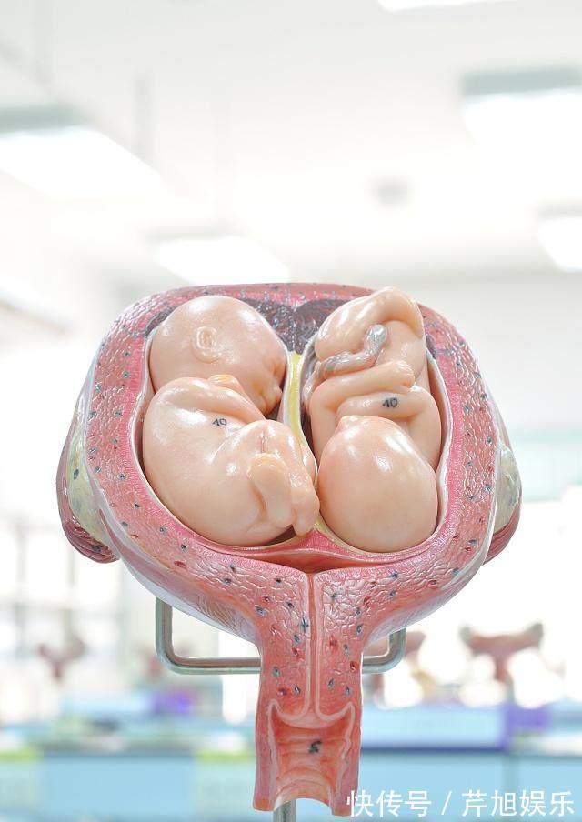 肚子|怀孕时,有的孕妈肚子大得像球,有的却不显怀,多半是这4个原因