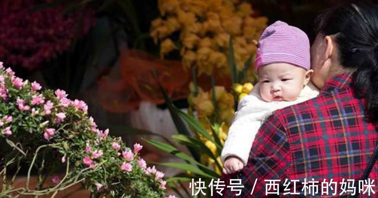 孝顺|假孝顺式养老“横行”,子女争先模仿,父母只能偷偷抹泪