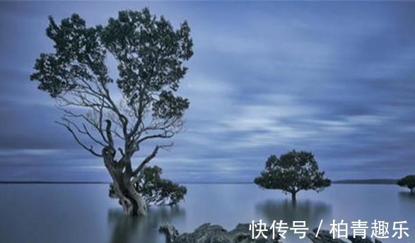 寂静#梦参长老：我读诵十年《金刚经》后悟得了什么？