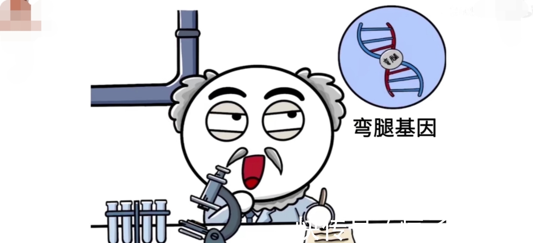 日本人|为什么日本女生的腿基本都是弯的？从我们这学走的文化？