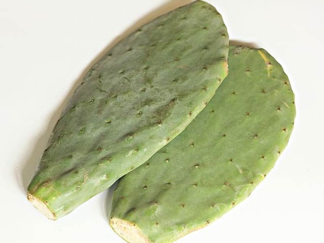 糖尿病足|被称为“天然解毒药”的仙人掌,竟有这8大奇效,不妨一看